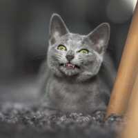 Lesen LED Bilder Bewertungen